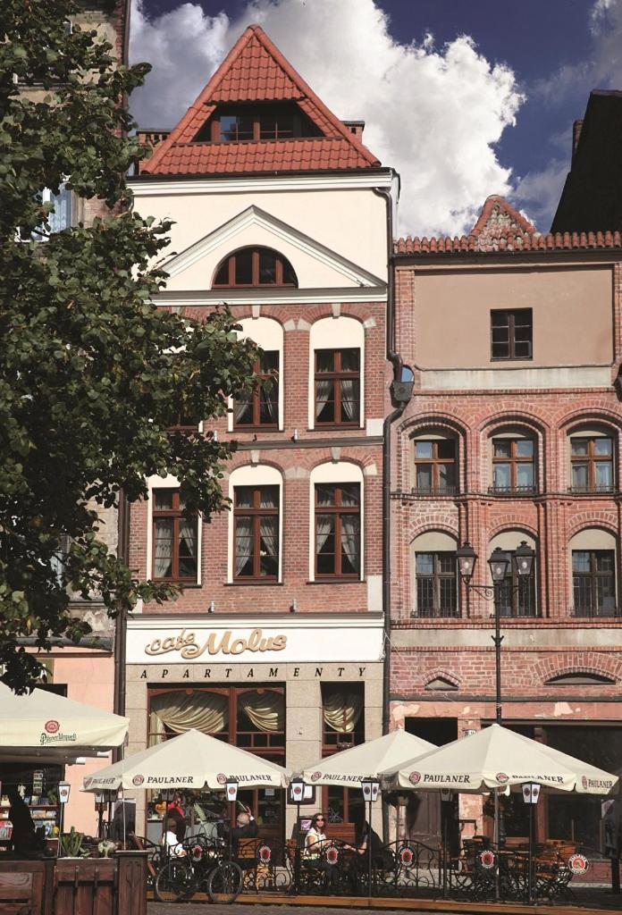 Apartamenty Molus Na Rynku Staromiejskim Stary Toruń Esterno foto